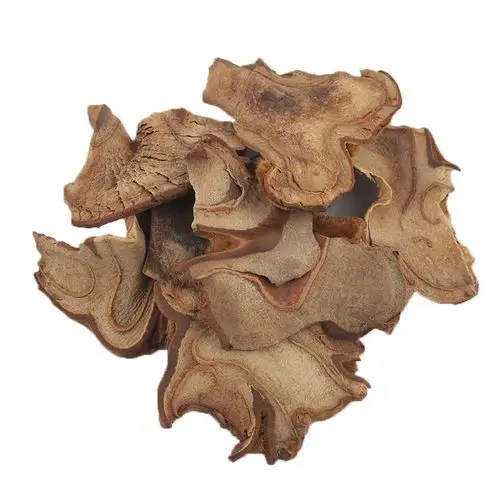 中药材 狗脊 金毛狗脊 野生 补 强腰膝 500克包邮