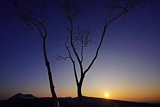 黎明,湖,北海道,日本