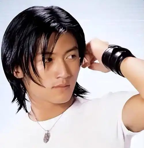 第一位:谢霆锋以下5位留长发最帅的香港男明星.