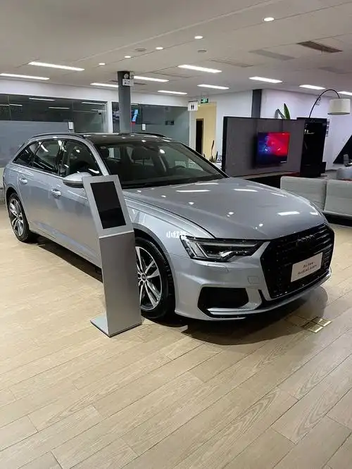 奥迪花剑银你见过吗