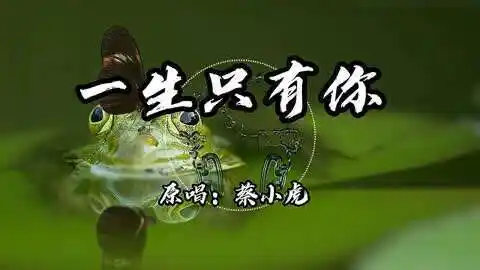 闽南语(台语)歌曲——原唱:蔡小虎-龙千玉《一生只有你》