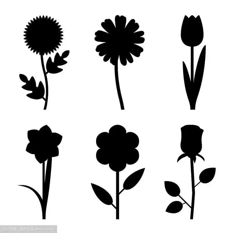 花黑色剪影