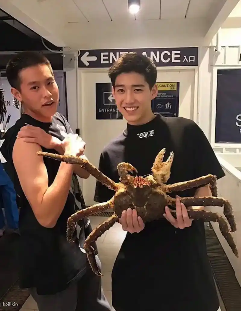 时间会证明一切.#ppkritt #billkin #林祎凯 - 抖音