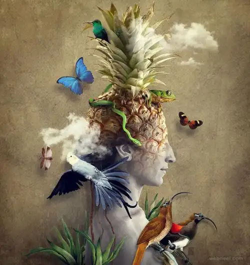 20张国外创意照片拼贴作品(2)