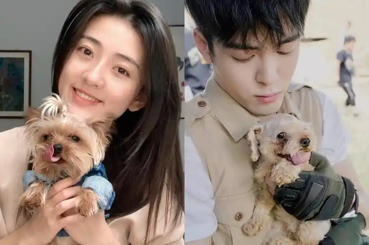 饭制梁洁曾舜晞