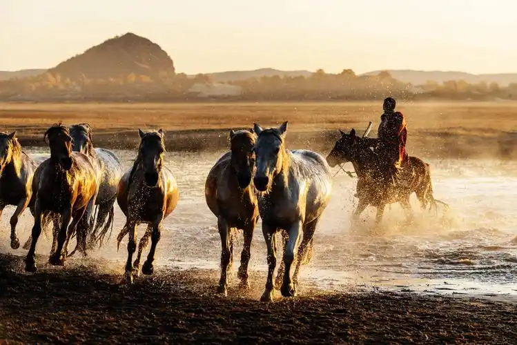 由于这里的水面开阔,四面环山,丘陵与平原交错,森林和草原