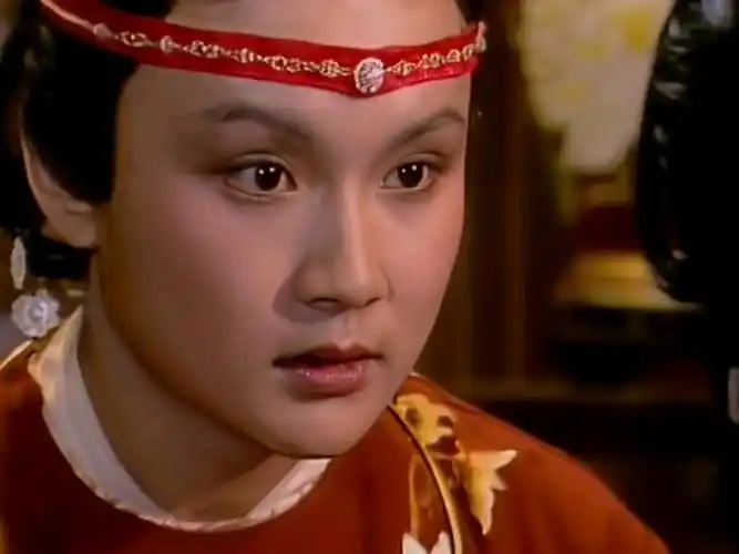 【红楼梦61贾宝玉】面若中秋之月,色如春晓之花.