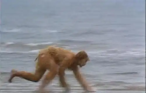 没有人再像86版西游记那样拍孙悟空了