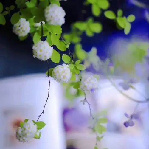 好看高清吸引人耐看头像用比较久头像图片_微信头像_头像屋