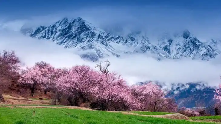 西藏林芝桃花 中国最美雪山 最美冰川 然乌湖8天深度创作摄影团