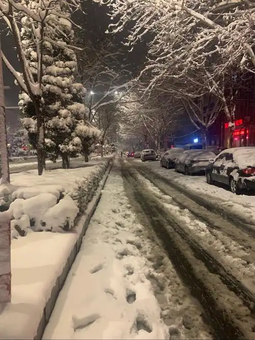 2021年2月24日晚上下大雪了…………雪花雪花漫天飞