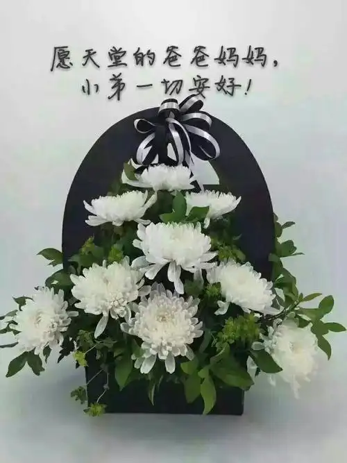 悼念老人驾鹤西去的诗句(悼念老人驾鹤西去的诗句柳)