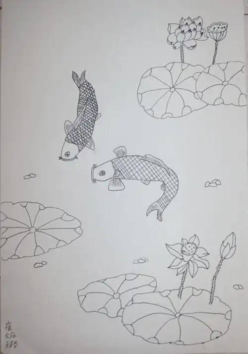 荷塘鱼乐简笔画
