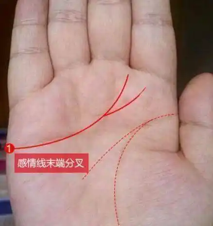 感情线末端代表婚姻,手相出现凤尾纹,婚后财福兼收,坐等享清福_手机