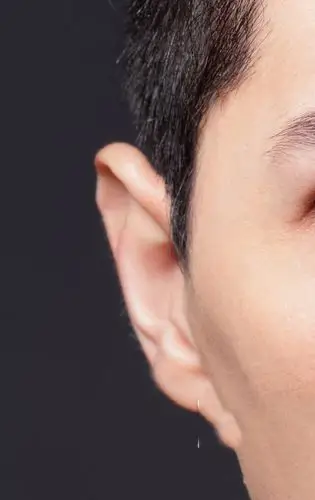 中央美术学院状元导师妈妈拉艺术学院裴俊飞老师教你画耳朵