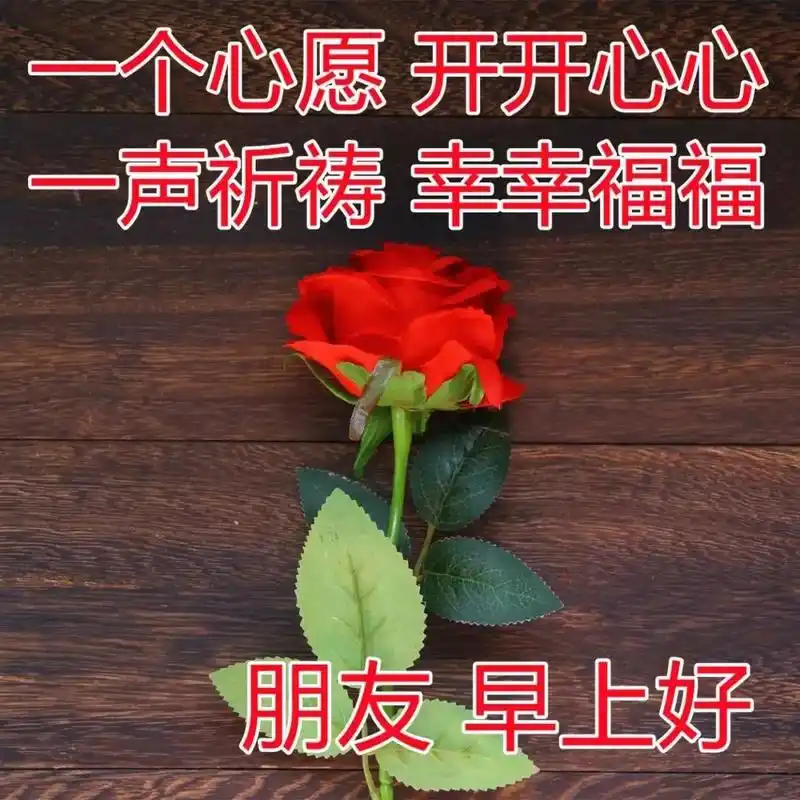 清晨慰问大家的早上好漂亮图片表情图,暖心早上好问候短信