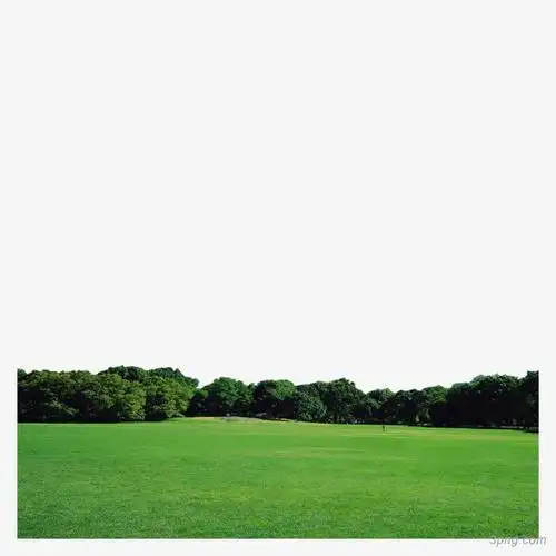 绿色森林风景png素材透明免抠图片-其他元素