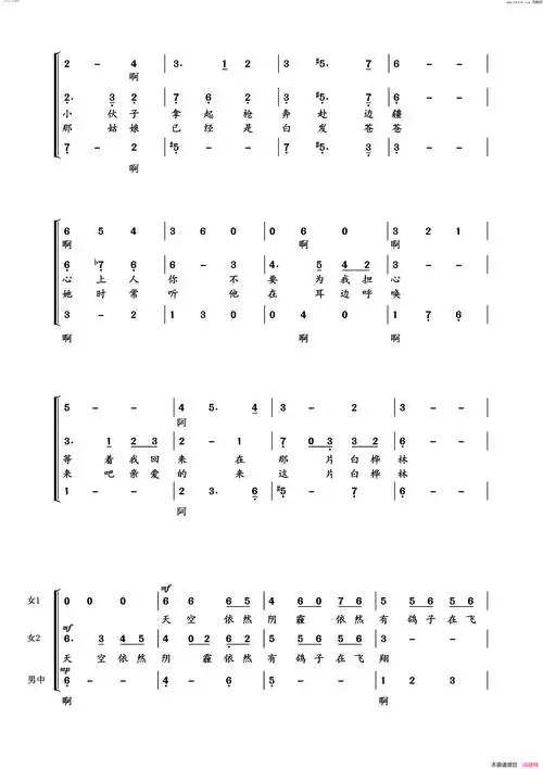 白桦林男女重唱简谱1