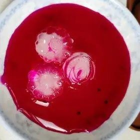 美腻的火龙果白凉粉的全部作品