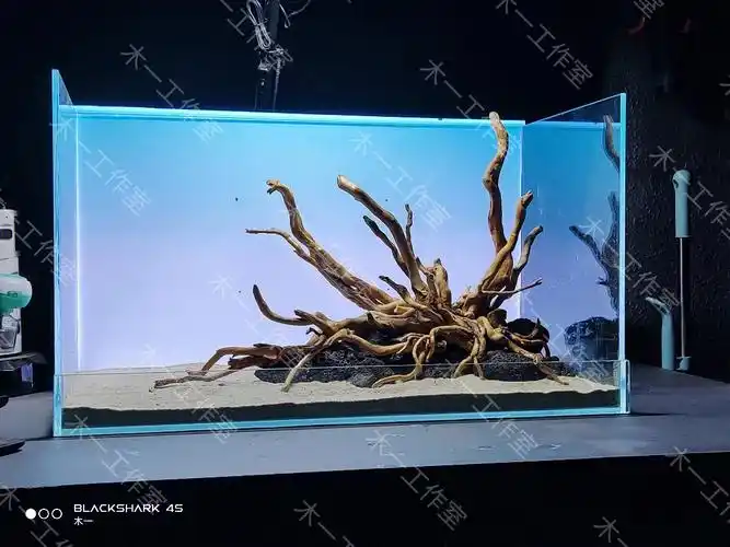 出售60缸自然造景