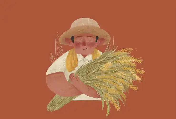 丰收|插画|商业插画|白糖莴苣 - 原创作品 - 站酷 (zcool)