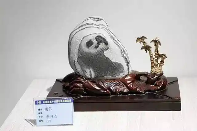 杂谈一个有品位的奇石收藏家是什么样子的