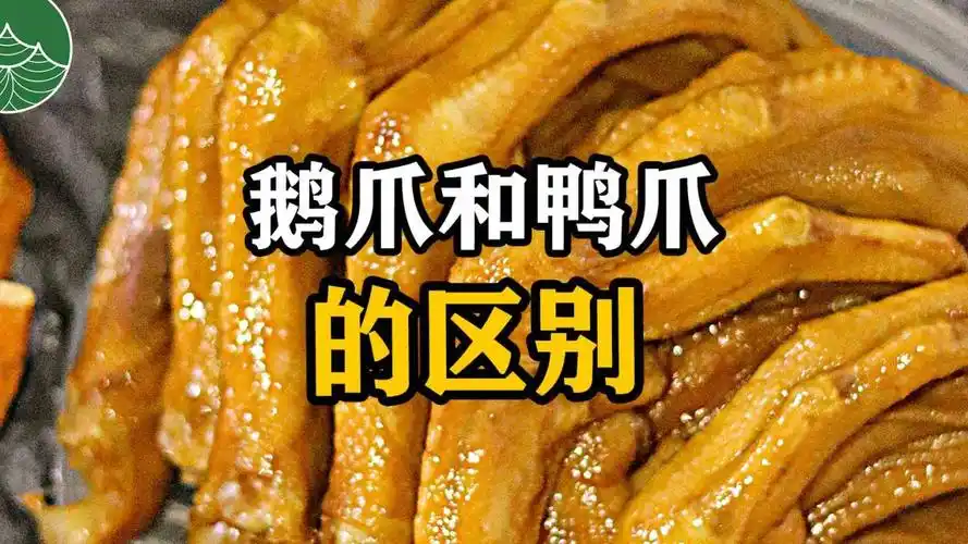 鹅爪和鸭爪的区别