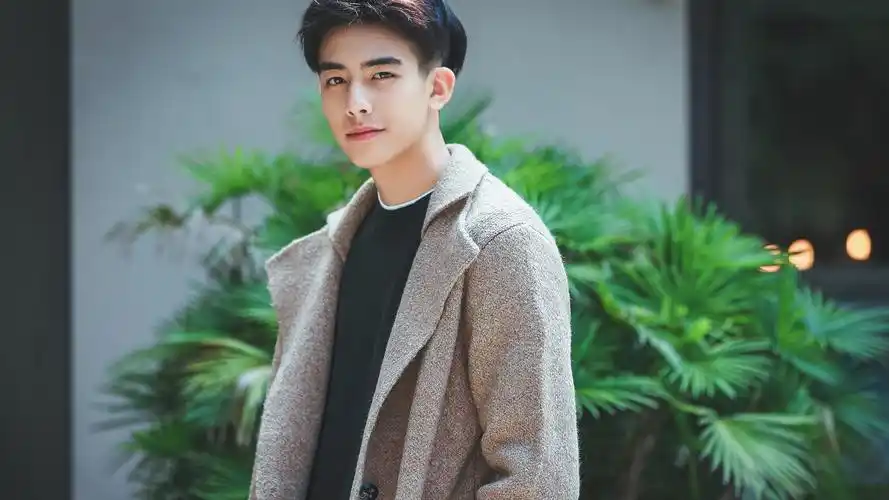 帅哥,宋威龙,明星,宋威龙壁纸