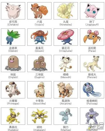 宝可梦皮卡丘好玩吗_宝可梦go皮卡丘mega_宝可梦皮卡丘进化条件