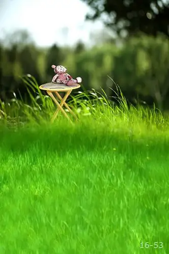 森林自然风景儿童摄影背景布百天宝宝自拍照相萌宠物2017新款pp纸