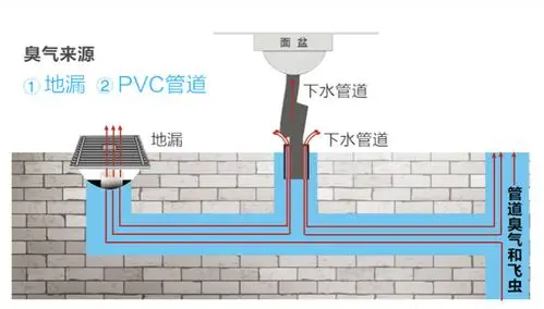 可以看下这幅示意图,由于家里厨房,卫生间的下水道与小区主下水道是