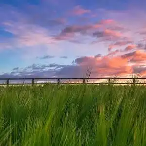 用户6799411274741岁月静好头像