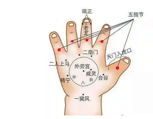 小儿推拿——五指节!