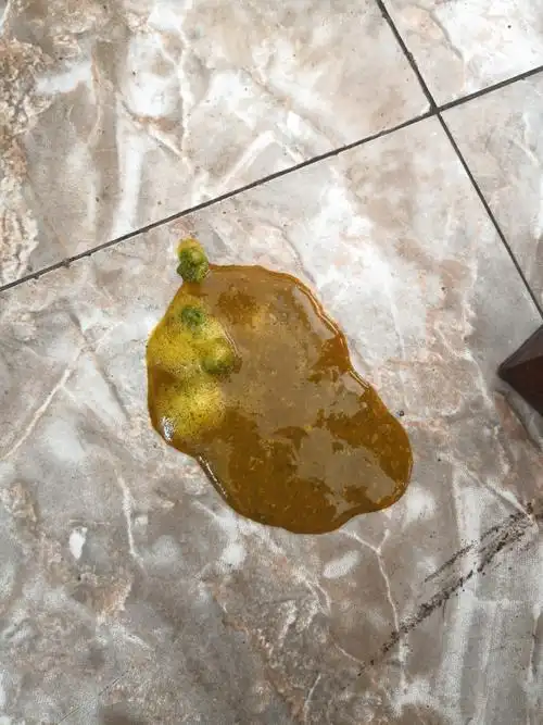 百分百!六个月宝宝拉肚子"怎么受孕"-第1张图片-鹏辉博客