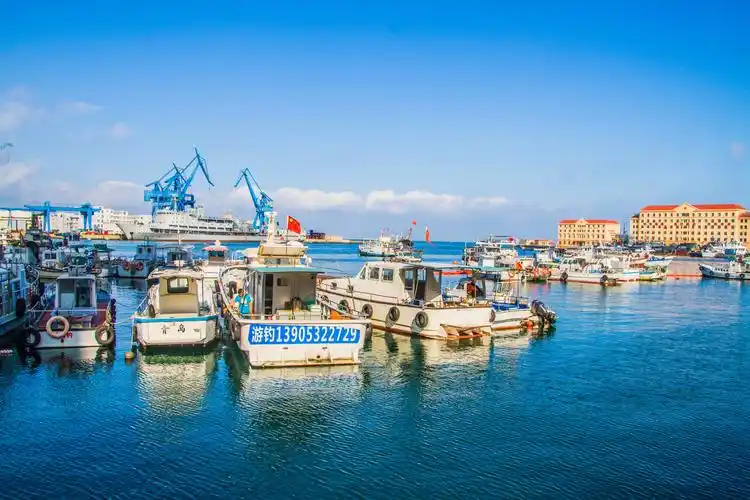 青岛的后海:小港湾新貌