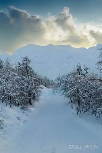 舒适的冬天场景与雪覆盖在山的树