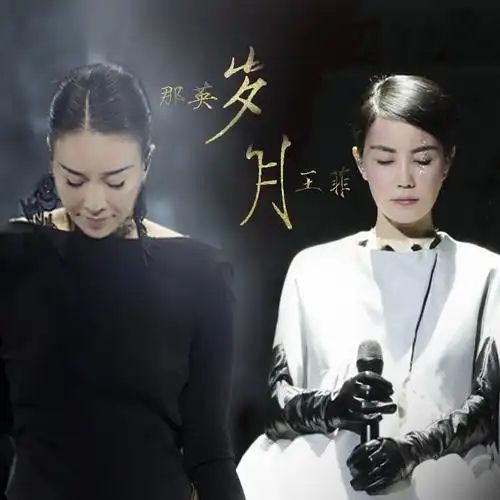 那英,王菲 - 岁月