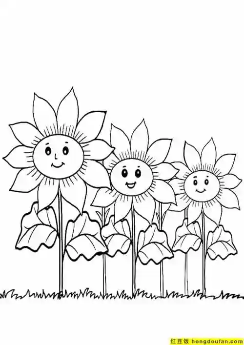 10张仙人掌小红花向日葵郁金香小雏菊可涂色卡通植物简笔画