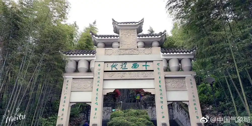 电影《十面埋伏》拍摄地,重庆,茶山竹海 蕙心摄影