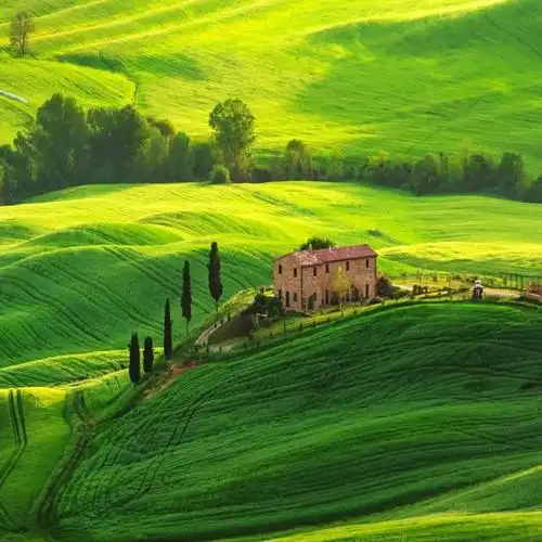 蔡家坡铁中三连六排同学  微信头像 >美篇 2021年元月9号 >制作