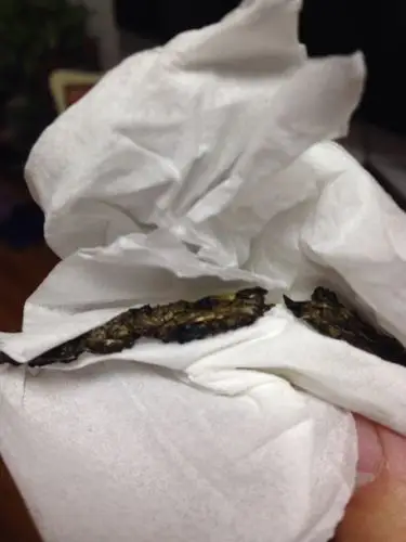 大家请看一下这是什么动物的粪便