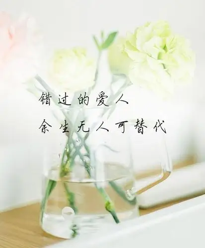 一样还在为爱执着,哪怕伤痕累累,那个错过的爱人,余生无人可替代