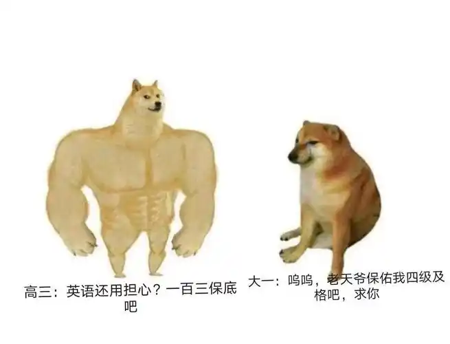 保底大一呜呜老天爷保佑我四级及格吧求你吧四级高三保底及格大一表情