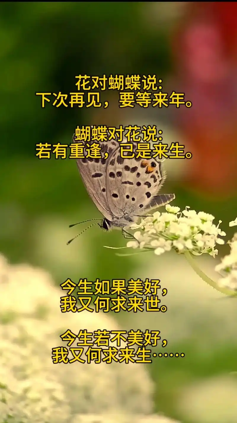 人这一生,匆匆而过,如果真有所图,也不过是一份温暖和惦记,好 - 抖音