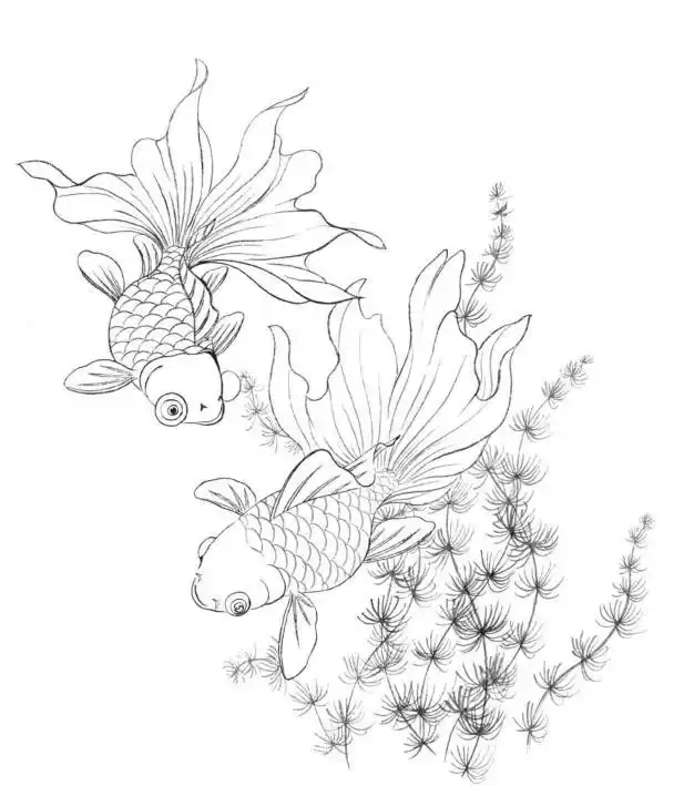 工笔画《鱼戏图》绘制分染全过程_金鱼