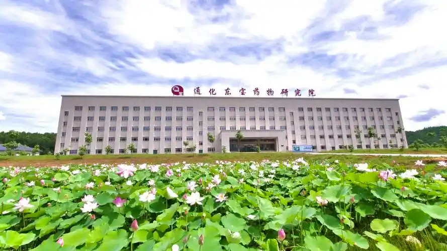 通化东宝创新转型跃上新台阶