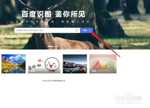 查图片出处怎么搜索