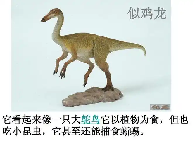 苏教版小学科学六年级下册《消失了的恐龙》ppt课件