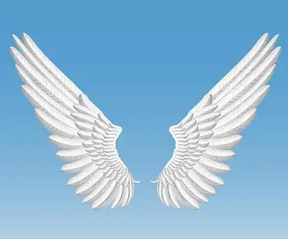 天使的翅膀