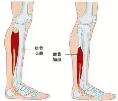 康复尔特国际运动康复中心